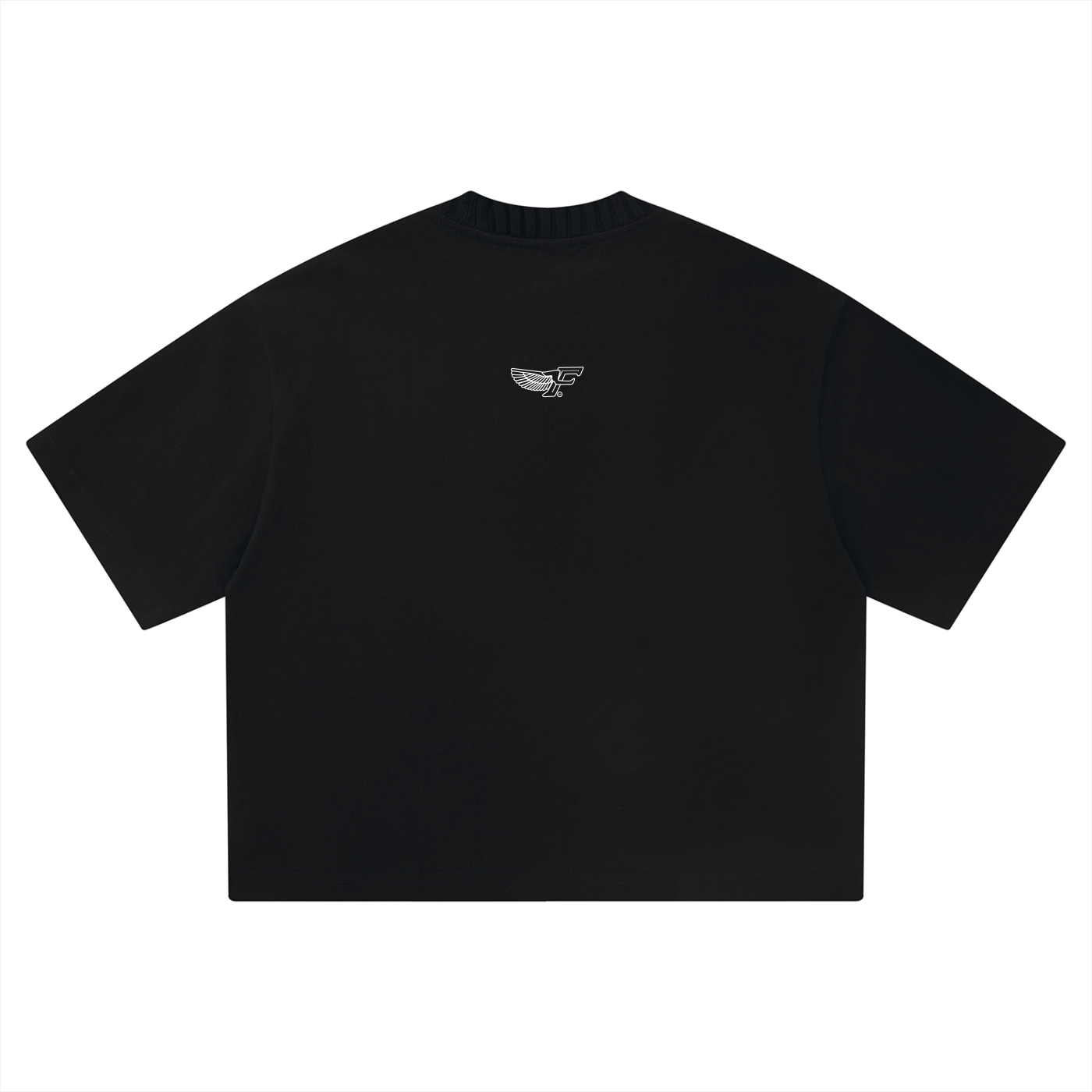 FD Unisex Heavyweight T-Shirt