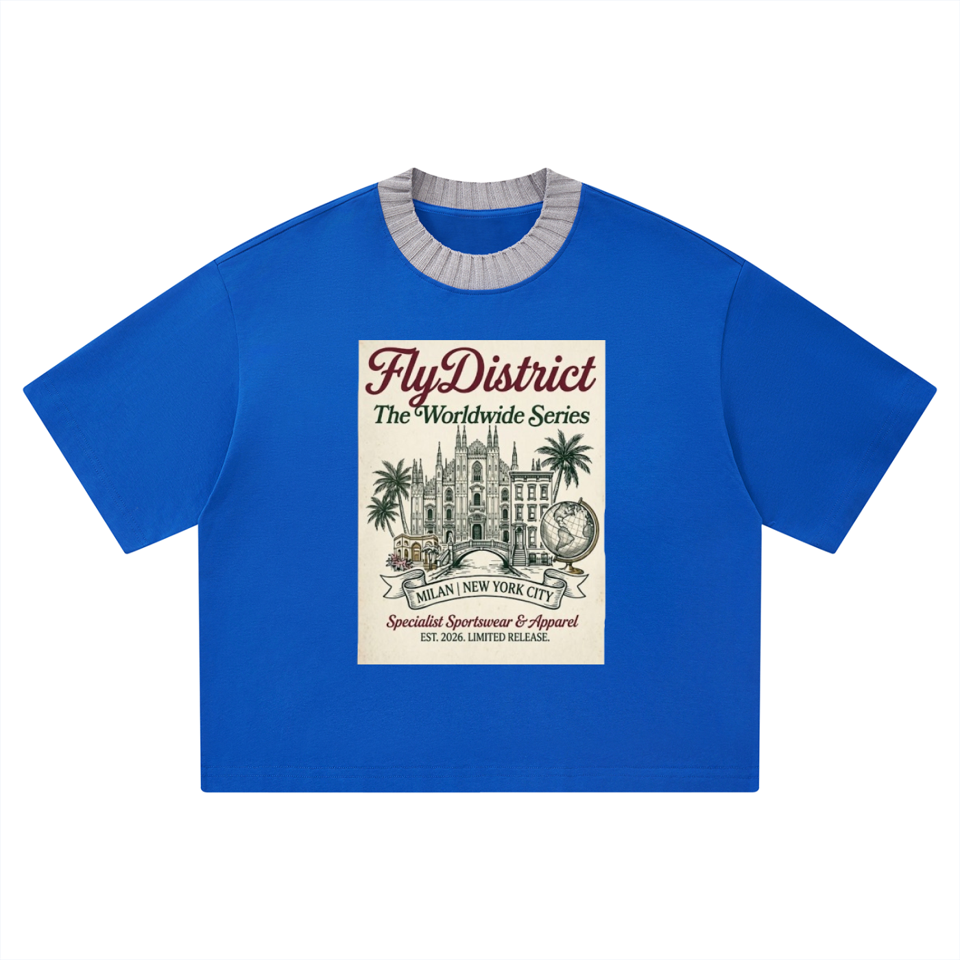 FD Unisex Heavyweight T-Shirt